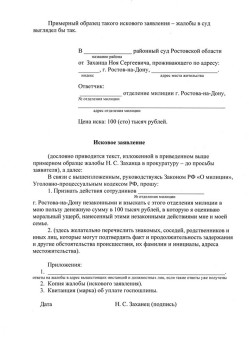 Примерный образец искового заявления-жалобы в суд