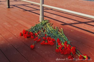 Международный день цыган, Москва, 2014г.
